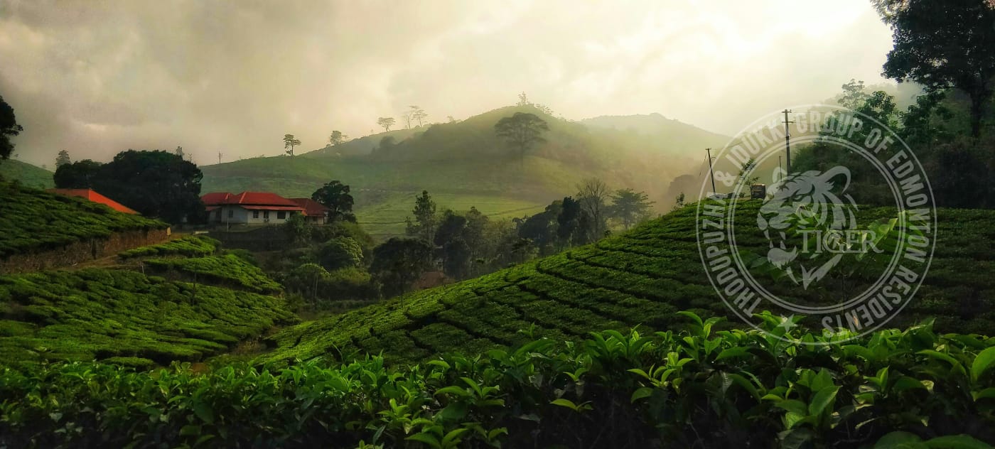 Munnar
